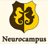 Neurocampus Braintraining